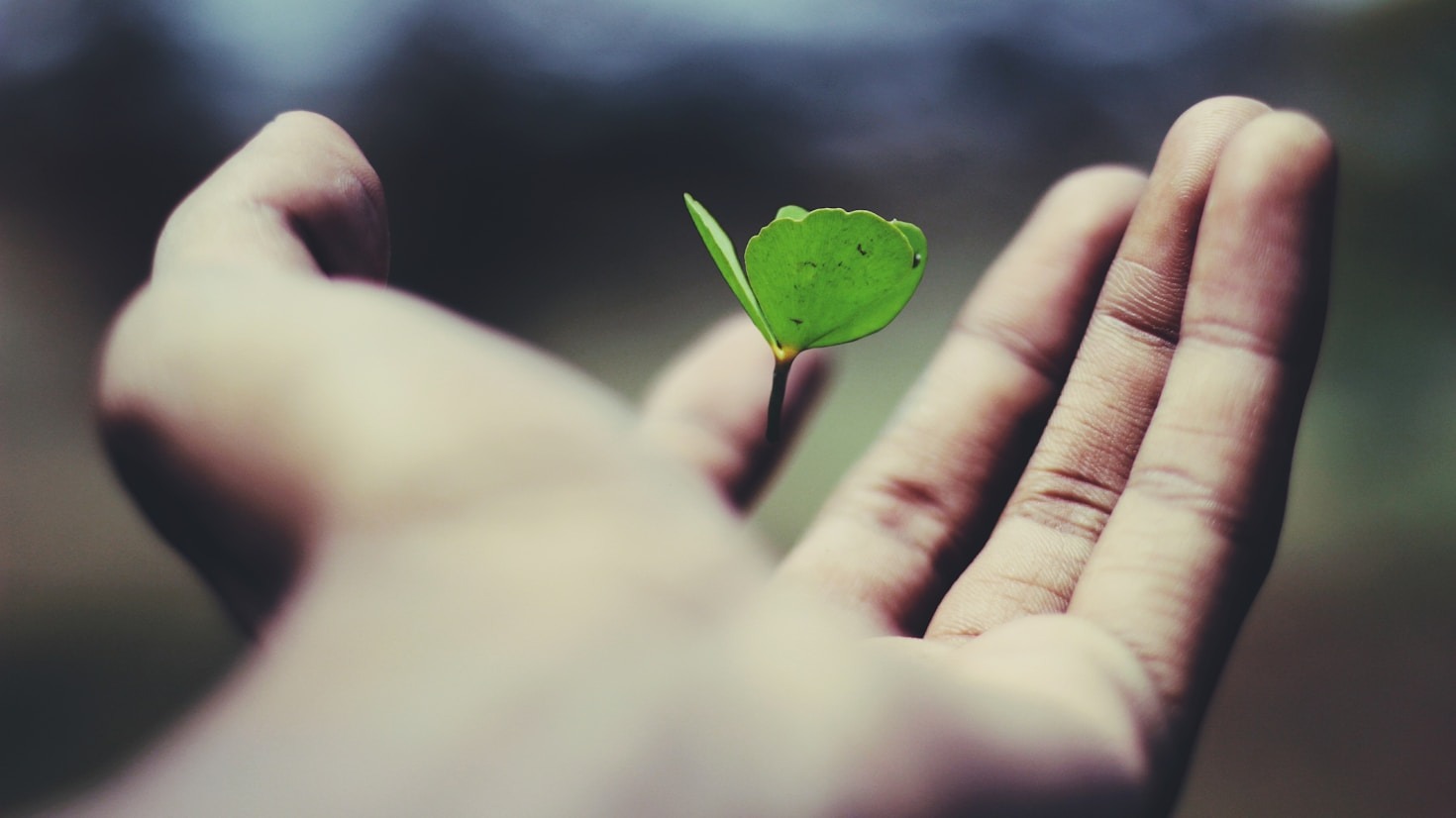 How to Set Goals That Truly Motivate You